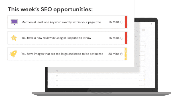SEO Opportunities - Gecko SEO Pro
